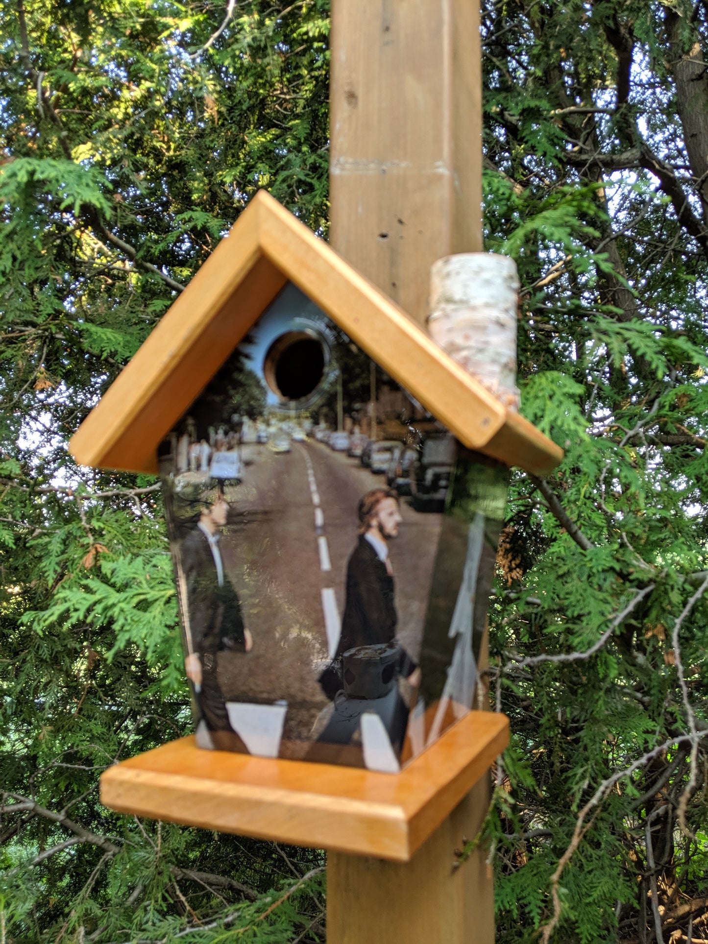 Beatles Abbey Road LP Cover Birdhouse