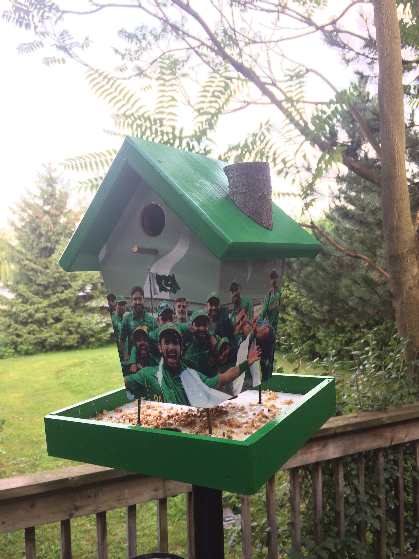 Pakistan Cricket Team Bird Feeder
