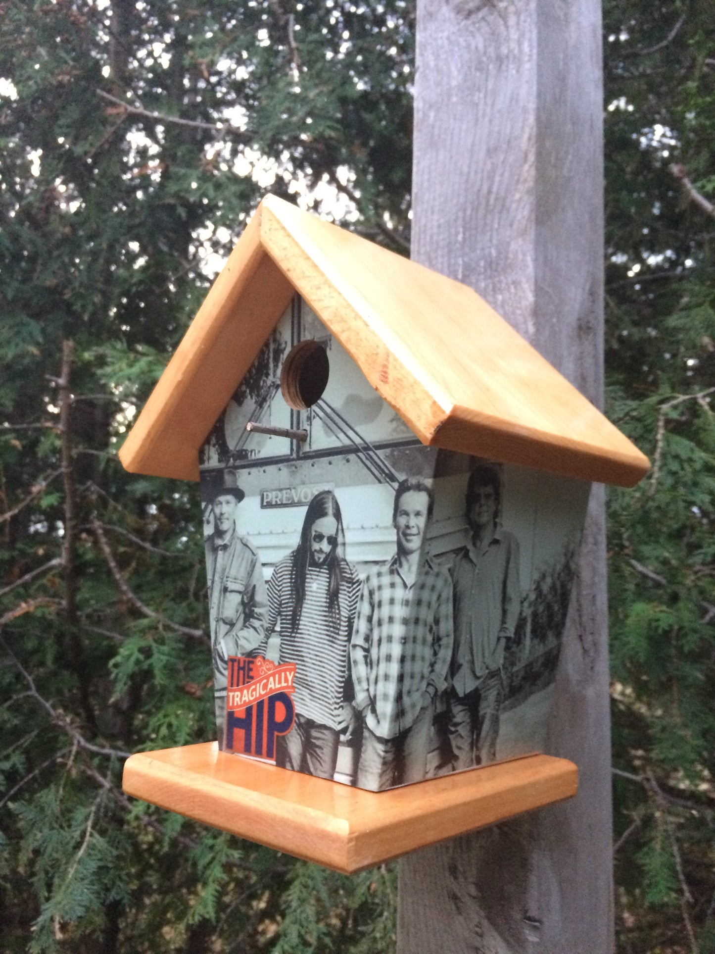Tragically Hip Birdhouse Stained Roof & Base