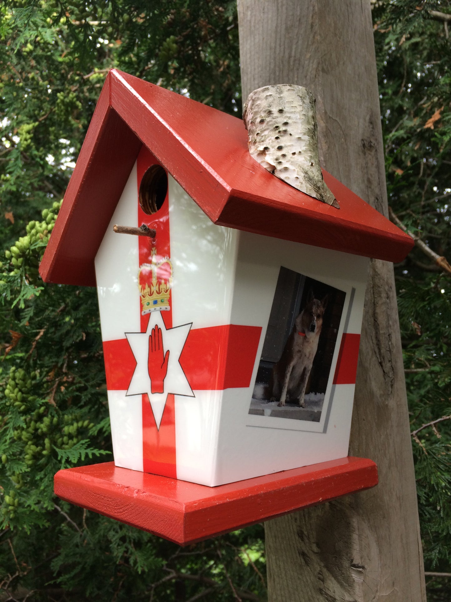 Hand of Ulster Personalized Birdhouse
