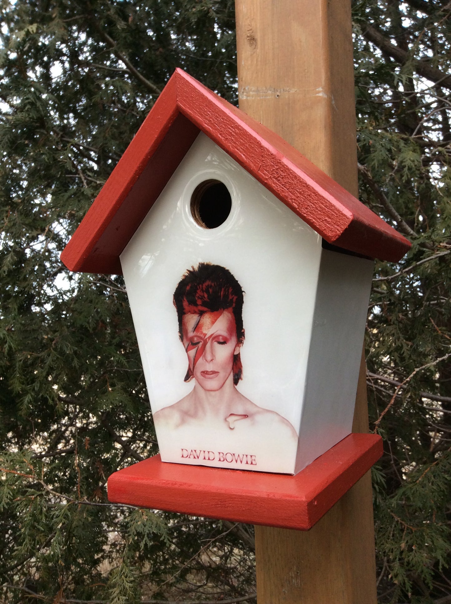 David Bowie Birdhouse Music