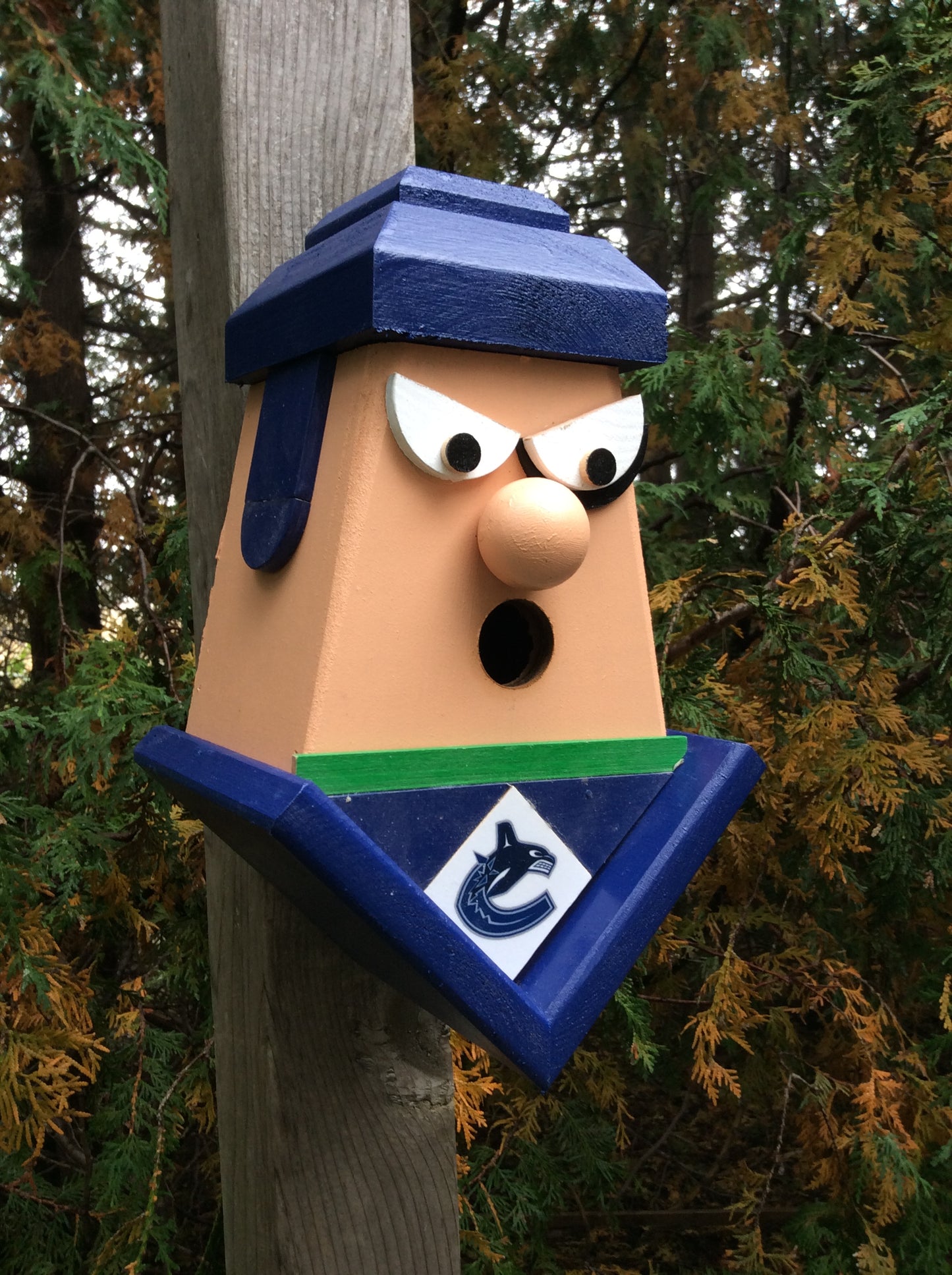Vancouver Canucks Player Birdhouse