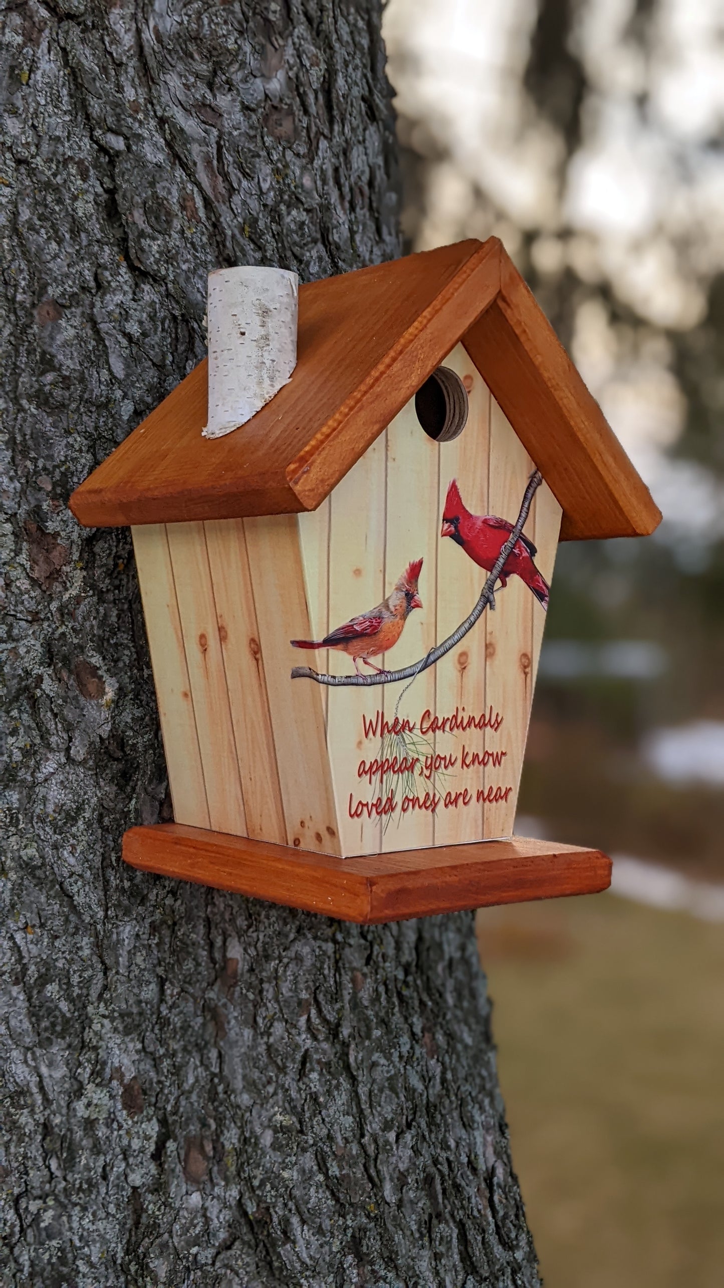 Memorial Cardinals Appear Birdhouse