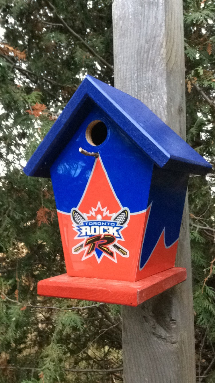 Toronto Rock Birdhouse