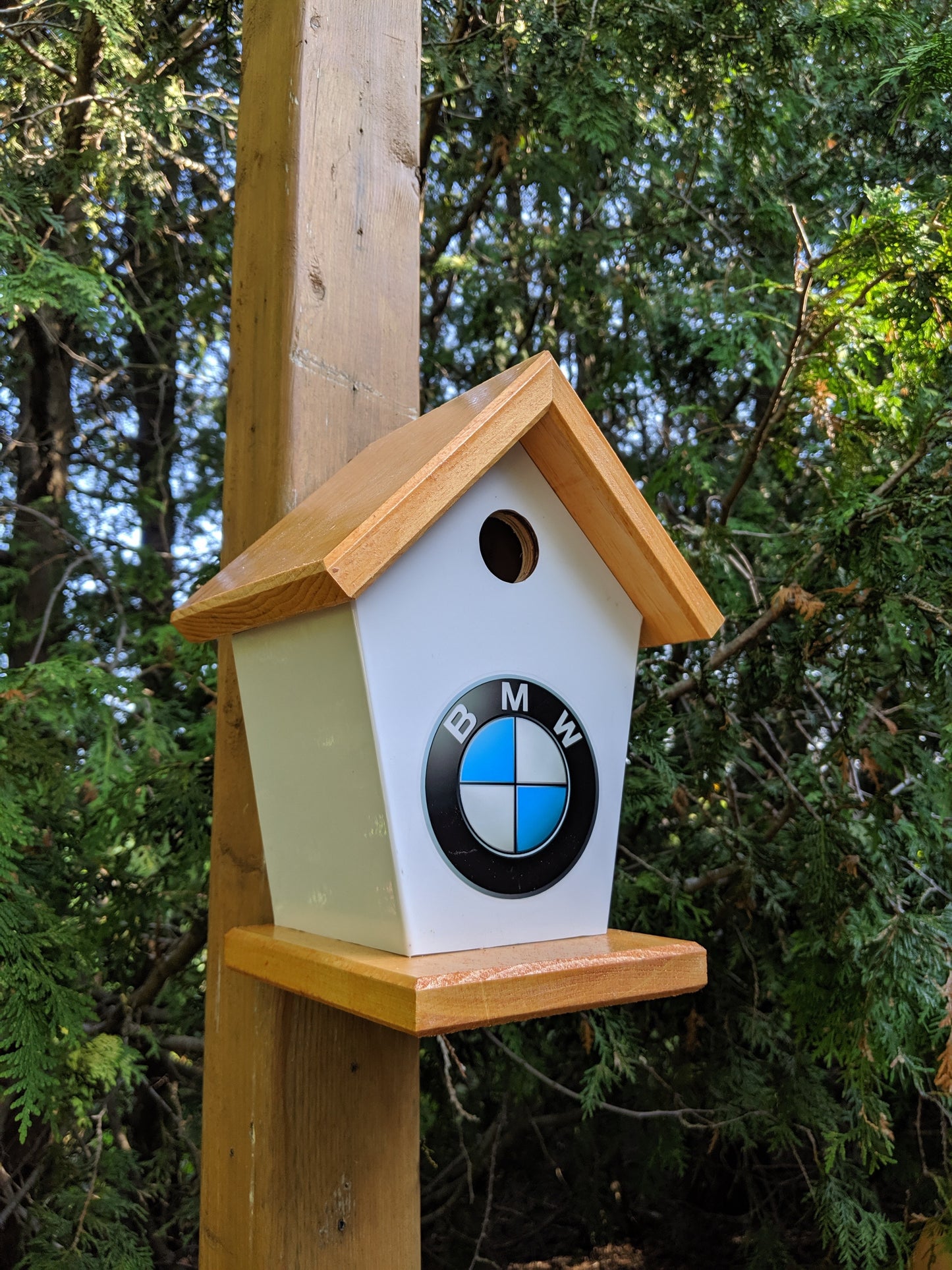 BMW Birdhouse