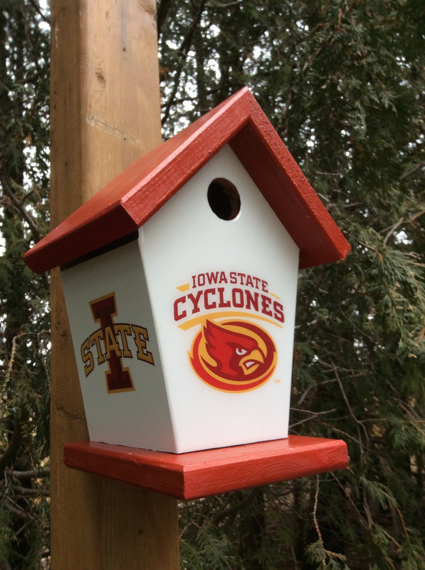 Iowa State Cyclone Birdhouse