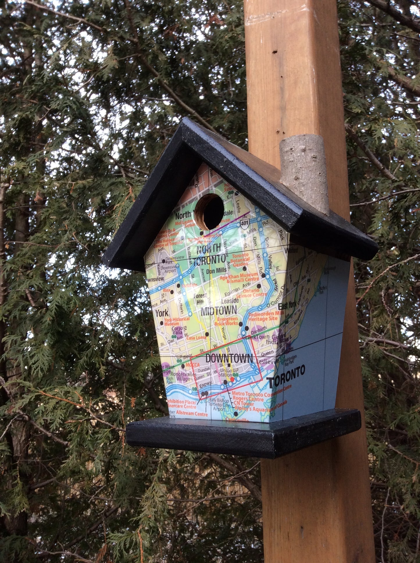 Toronto Map North York Birdhouse