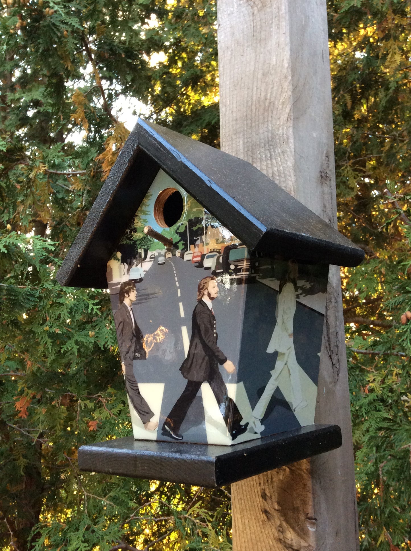 Beatles Abbey Road Music Birdhouse