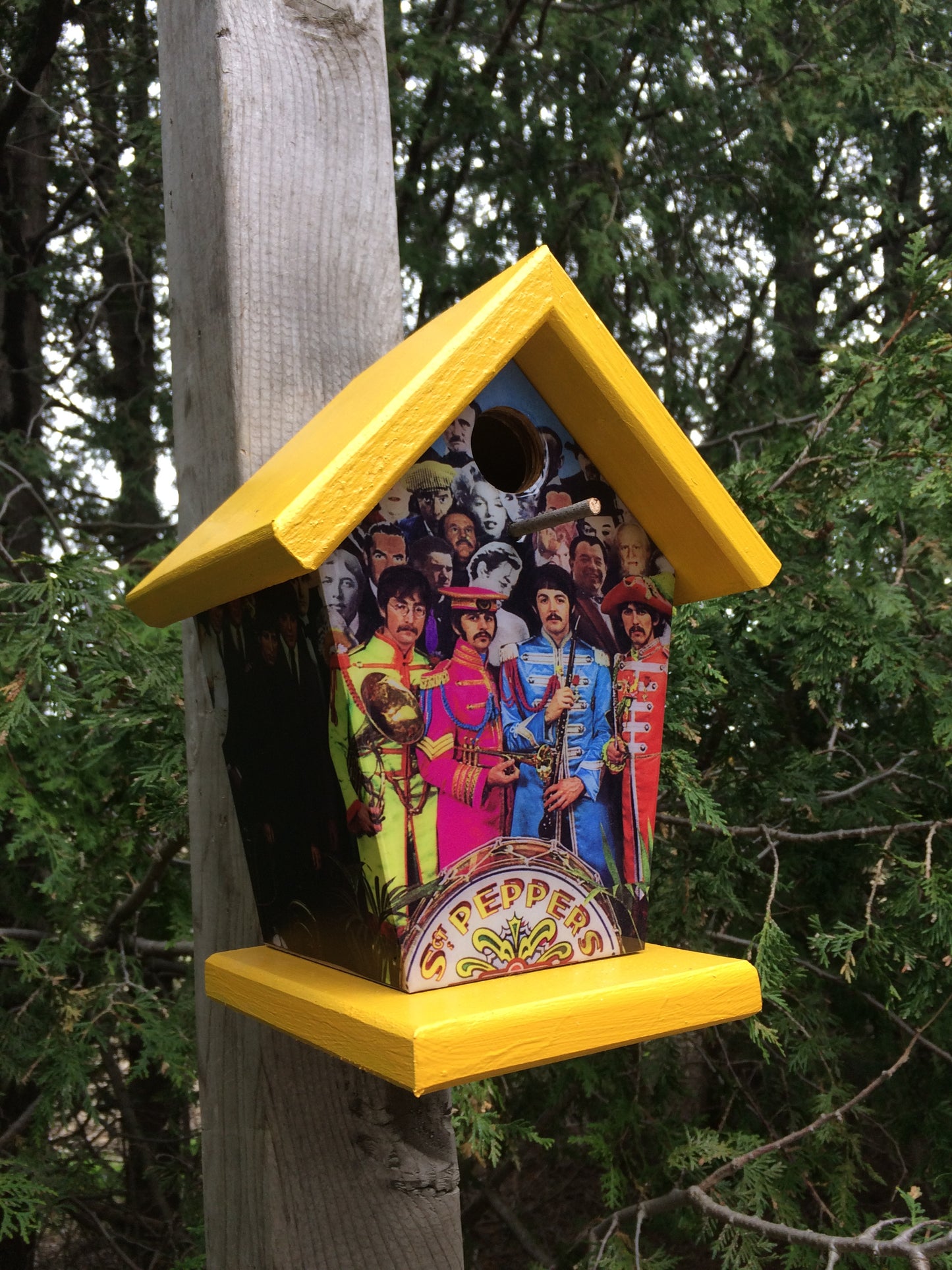 Beatles Sergeant Pepper’s Lonely Hearts Club Music Birdhouse