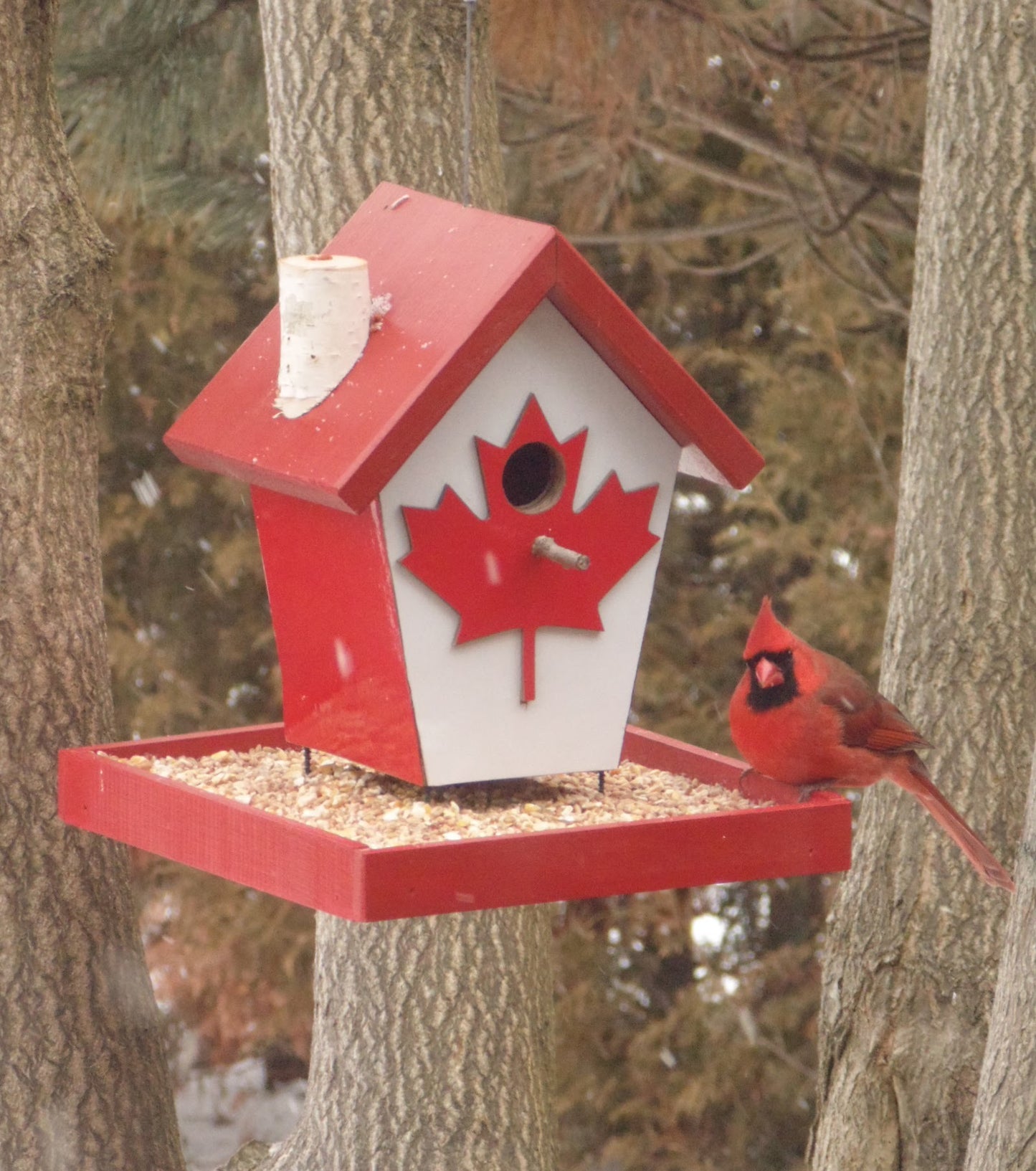 Canada Flag 3D Wrapped Bird Feeder