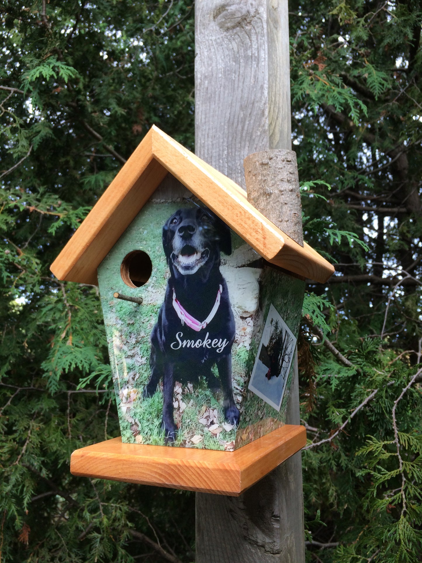 Personalized Pet Dog Birdhouse