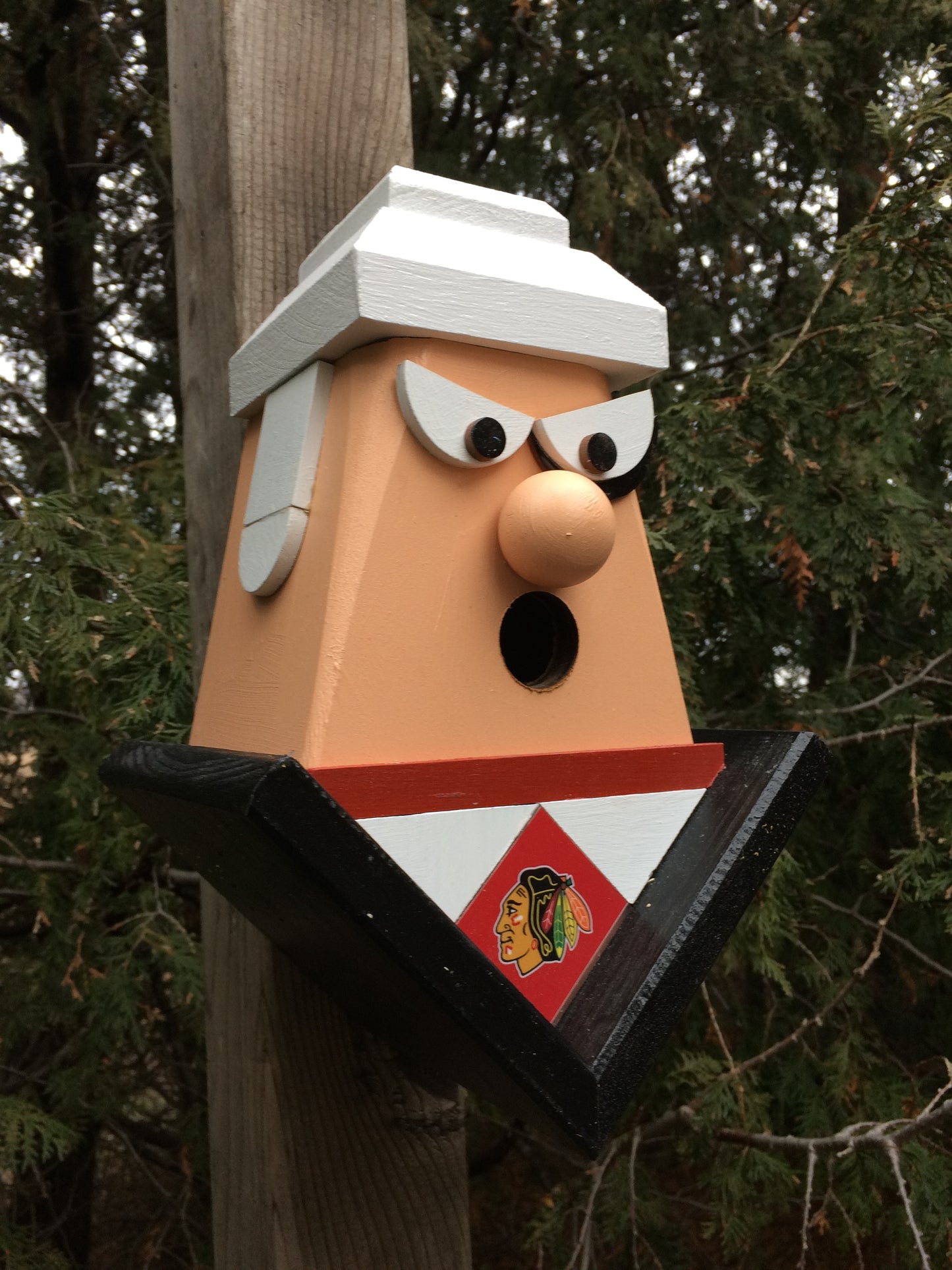 Chicago Blackhawks Birdhouse