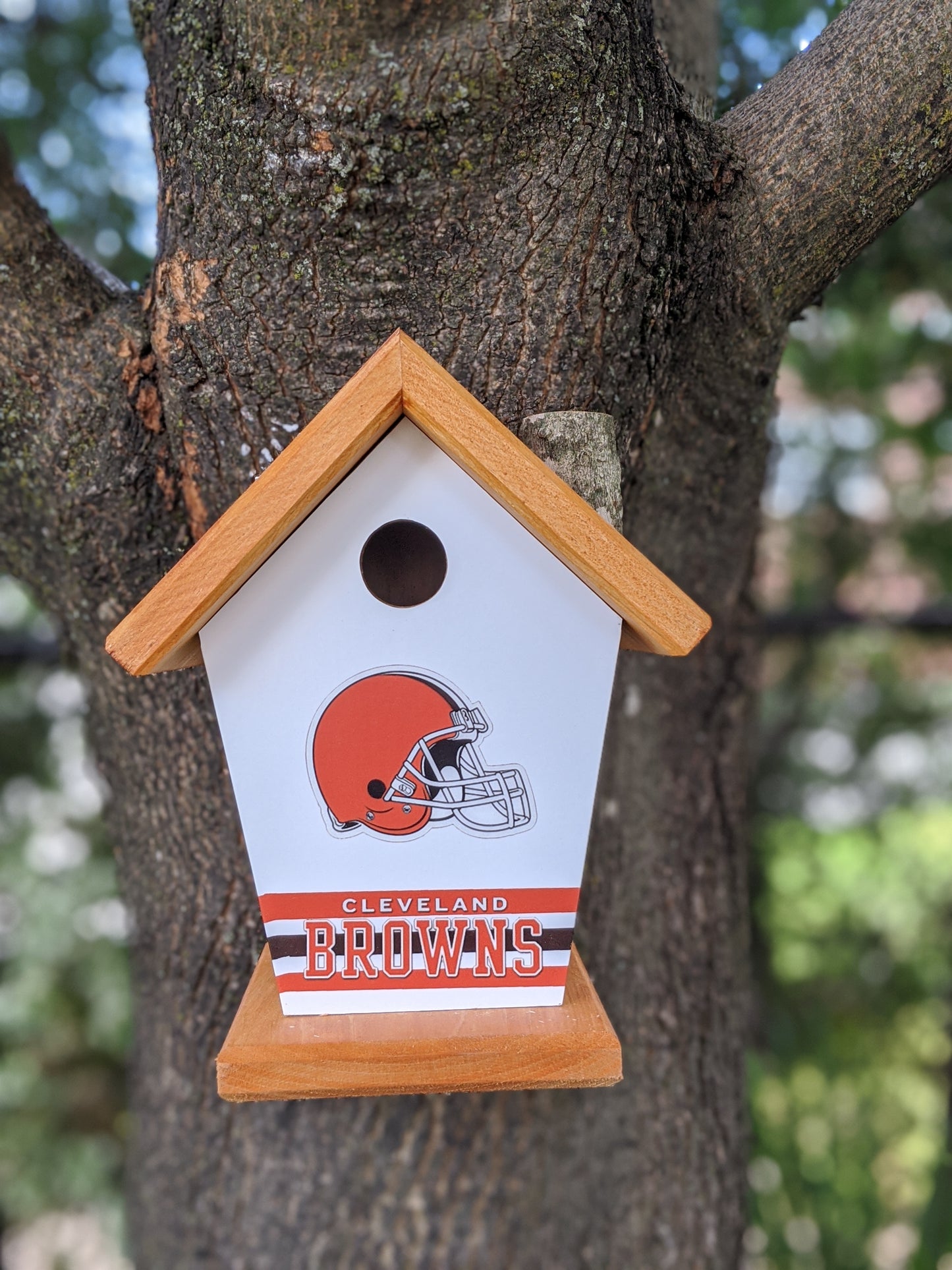 Cleveland Browns Birdhouse
