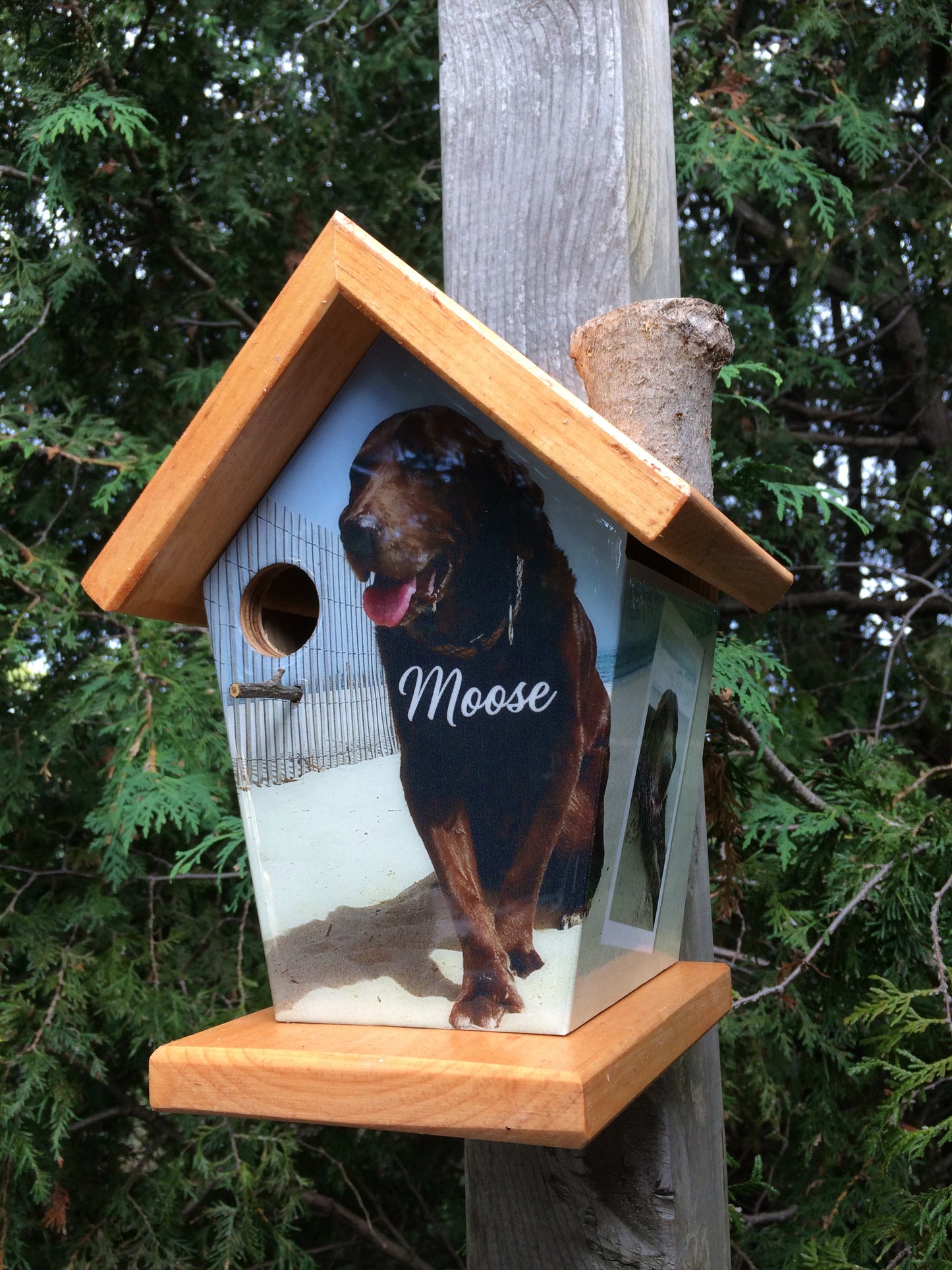 Personalized Pet Dog Birdhouse