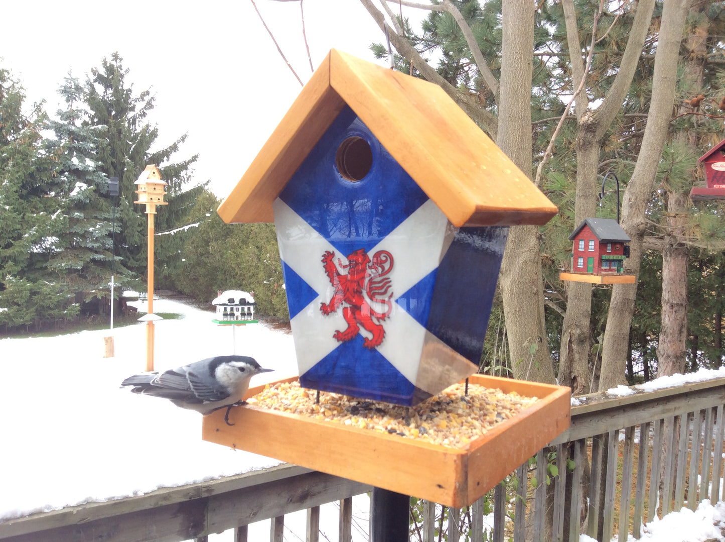 Scotland flag bird feeder