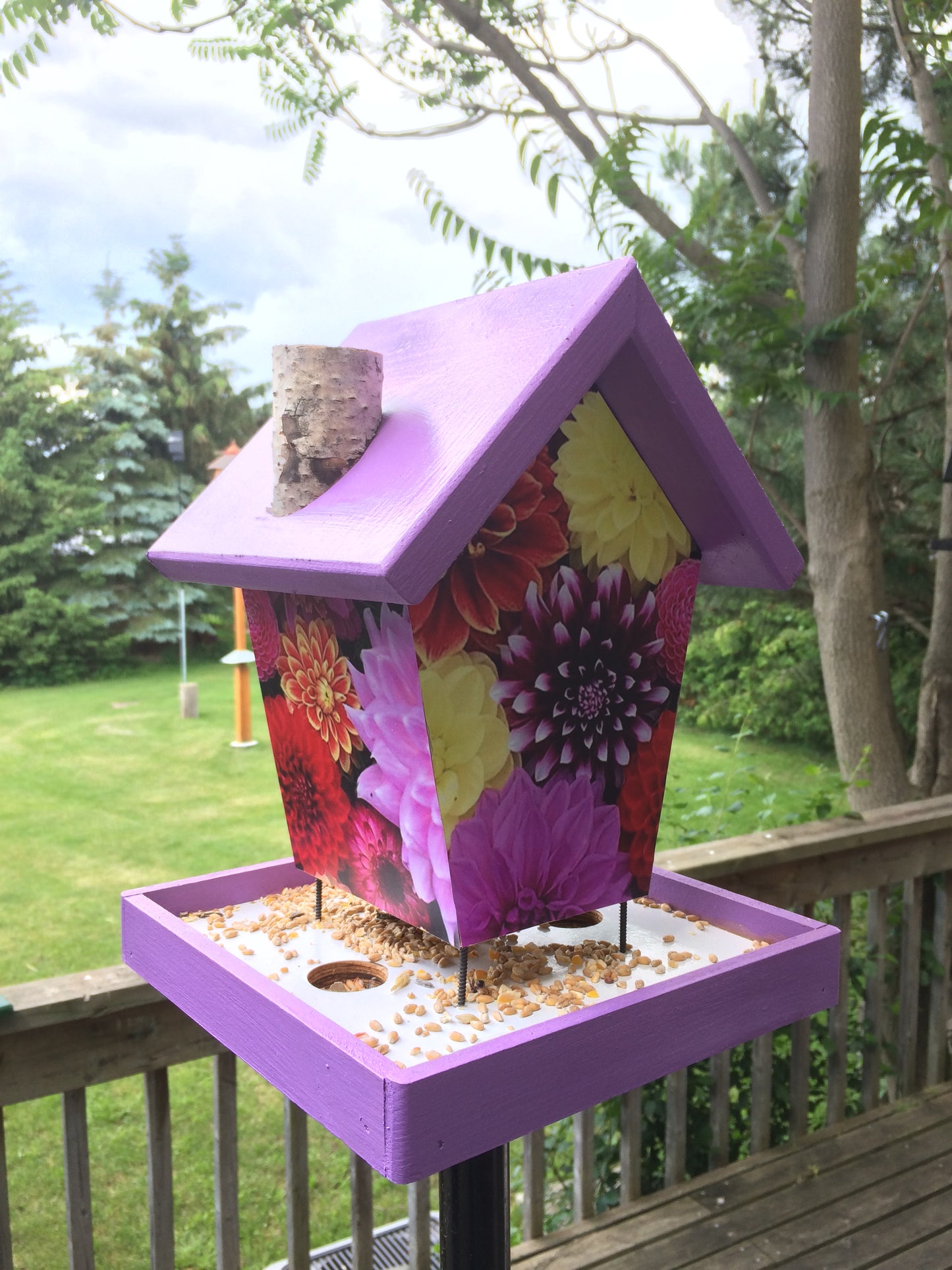 Dalia Bird Feeder coloured roof and base