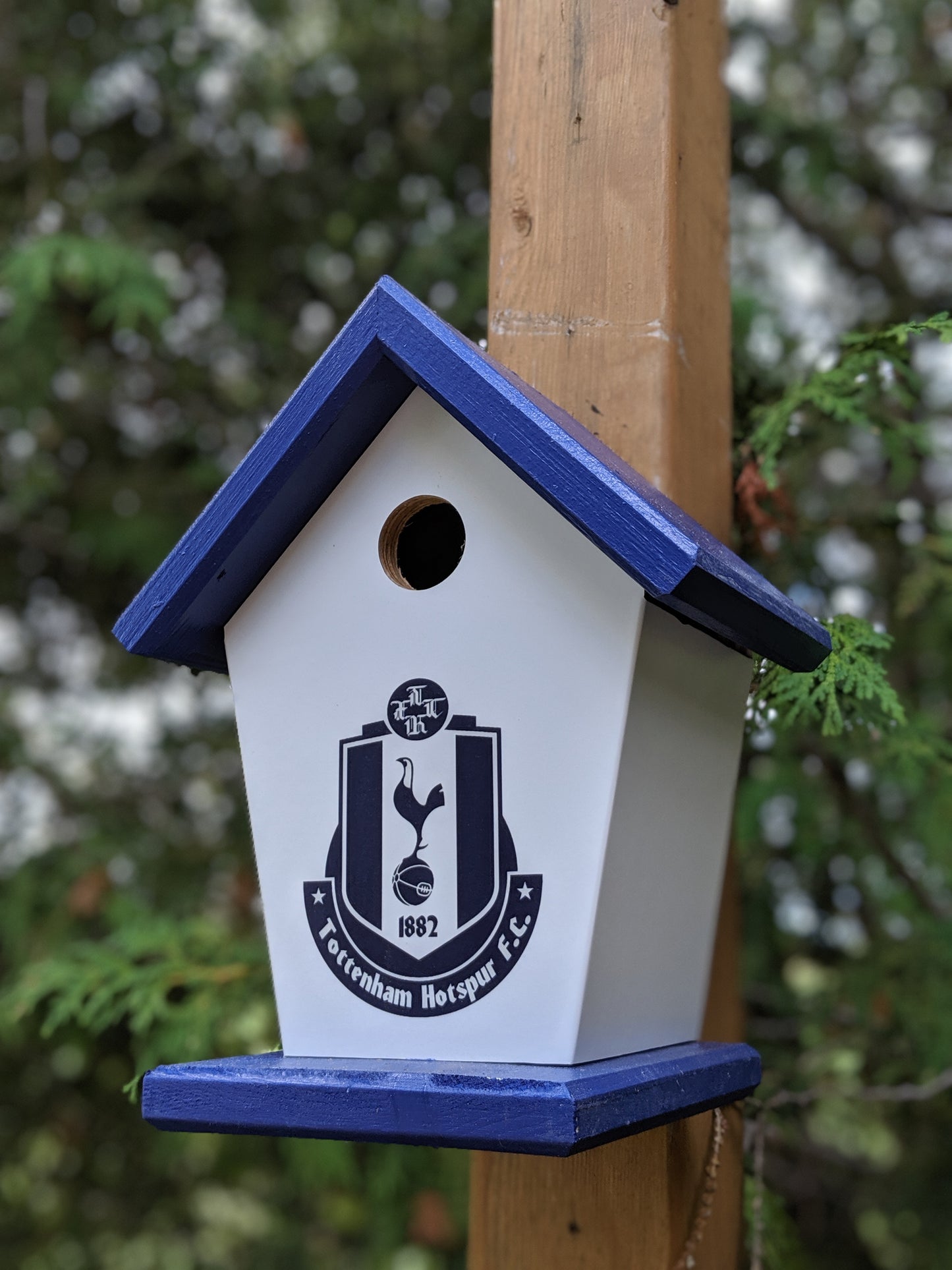 Tottenham, Hotspur, Birdhouse