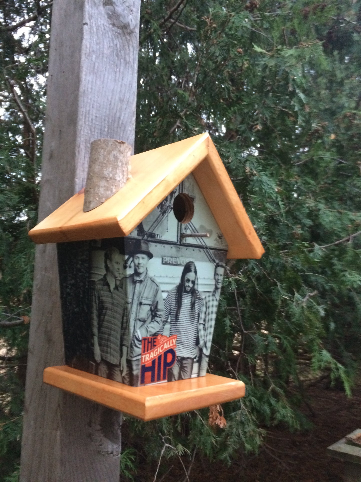 Tragically Hip Birdhouse Stained Roof & Base