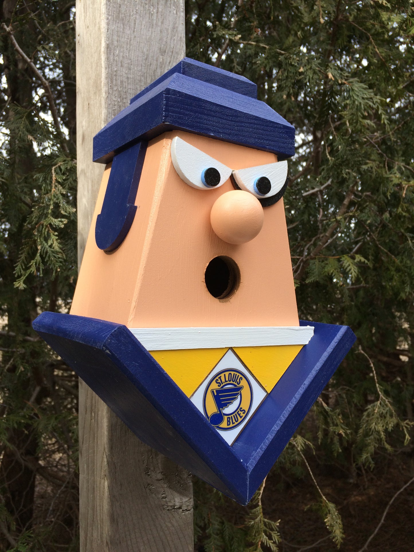 St. Louis Blues Birdhouse
