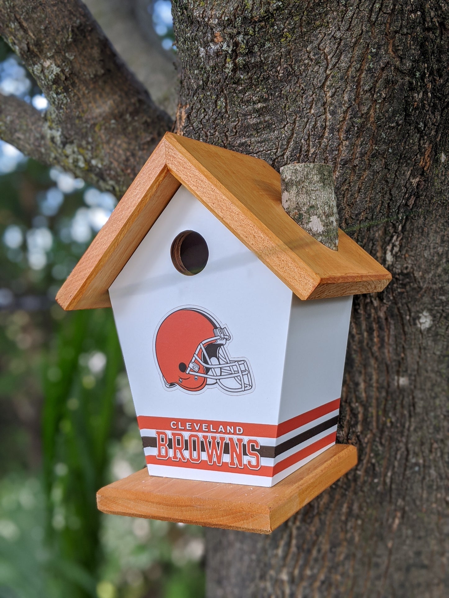 Cleveland Browns Birdhouse
