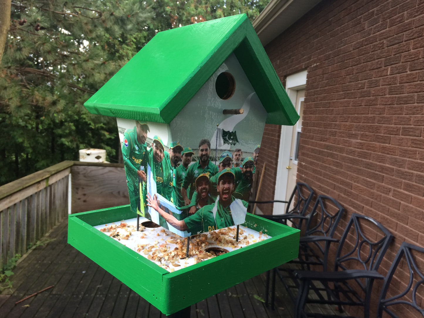 Pakistan Cricket Team Bird Feeder