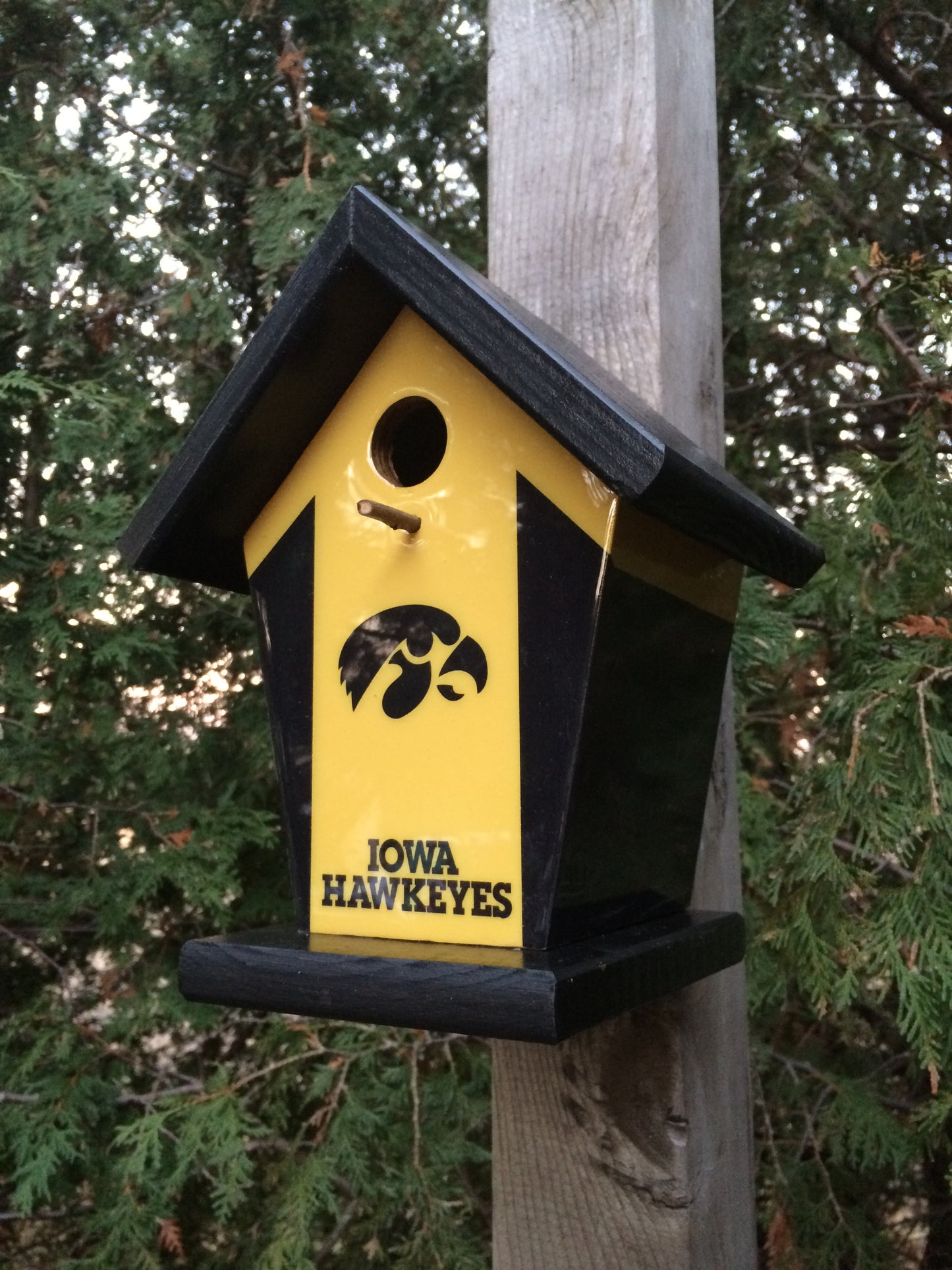 Iowa Hawkeyes Birdhouse