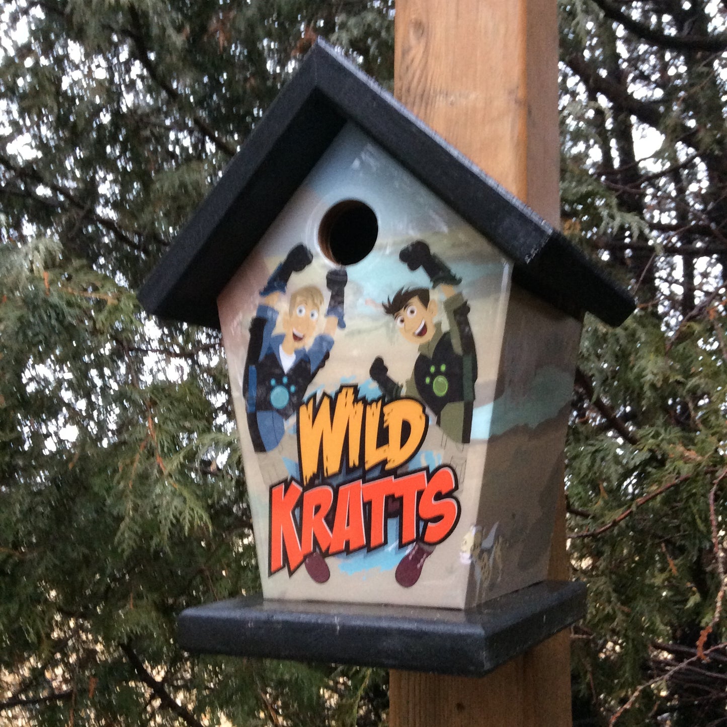 Wild Kratts Birdhouse