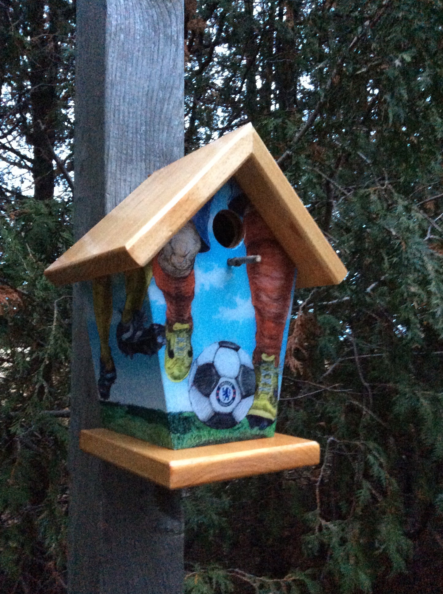 Soccer Birdhouse personalized with team logo