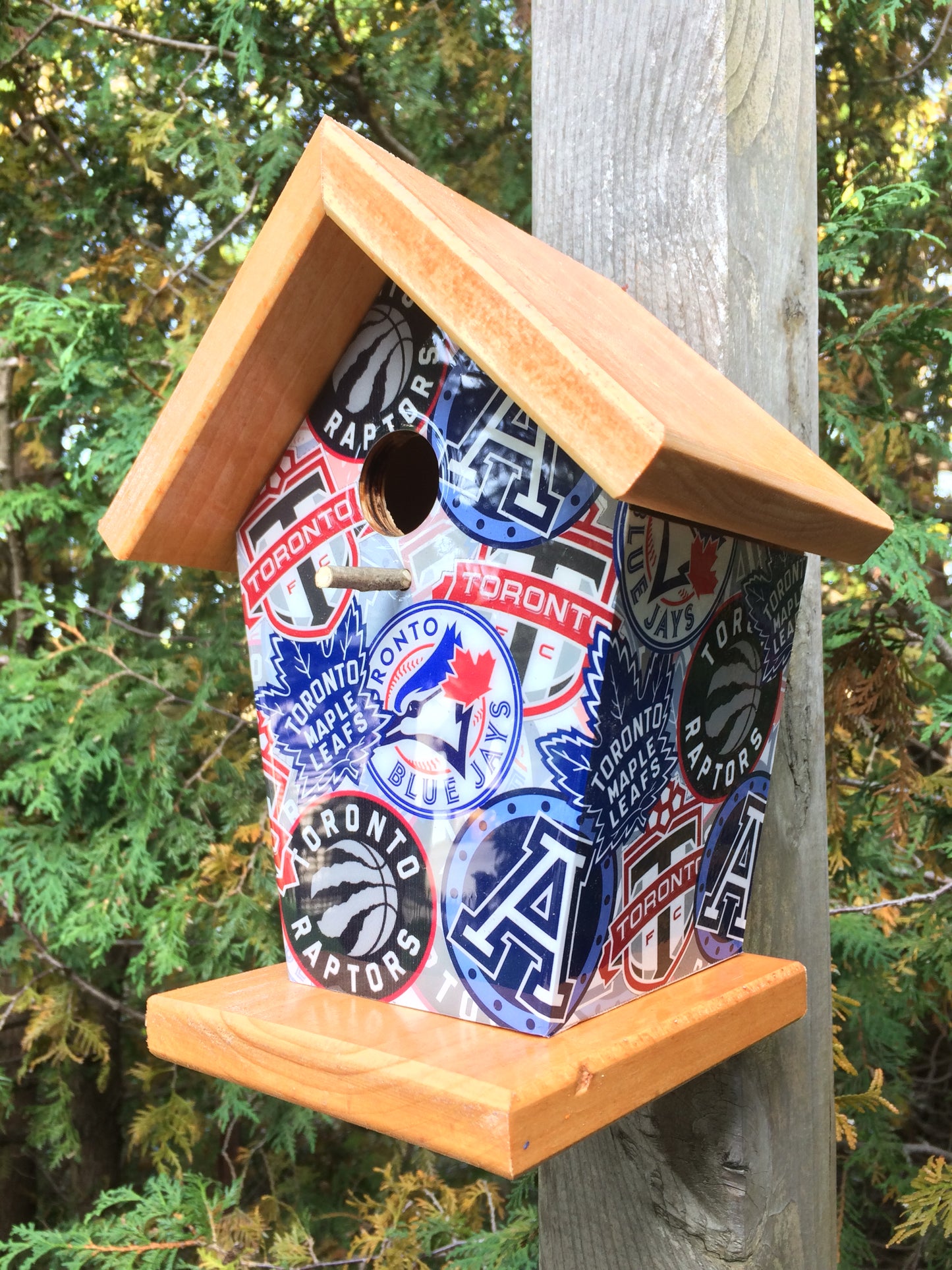 Toronto Sports Lovers Birdhouse