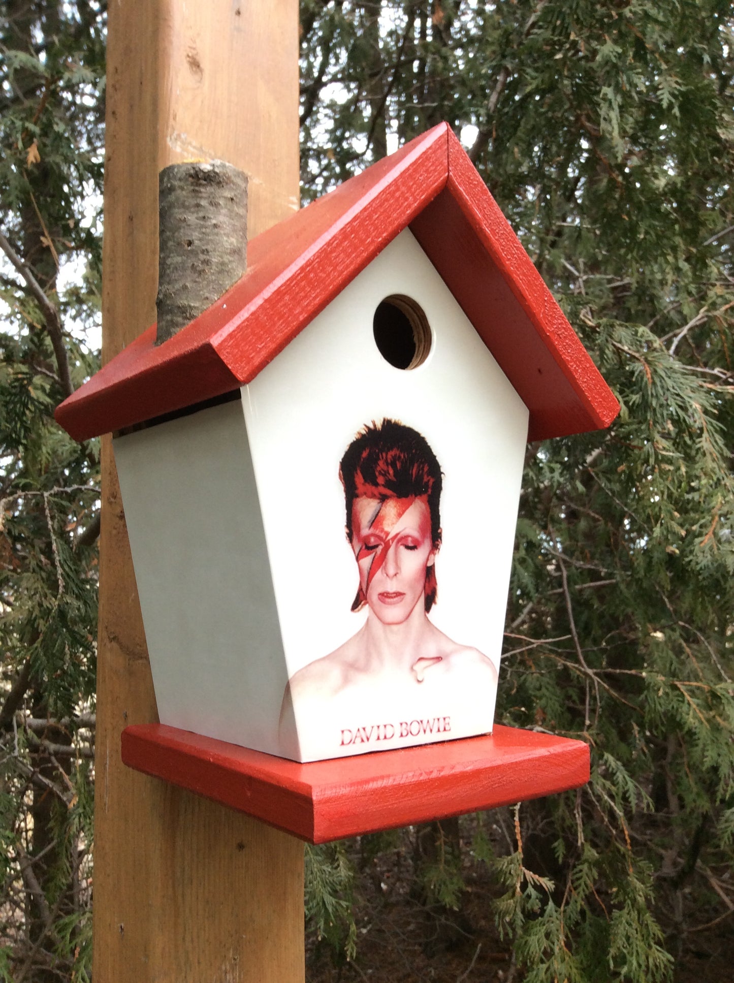 David Bowie Birdhouse Music