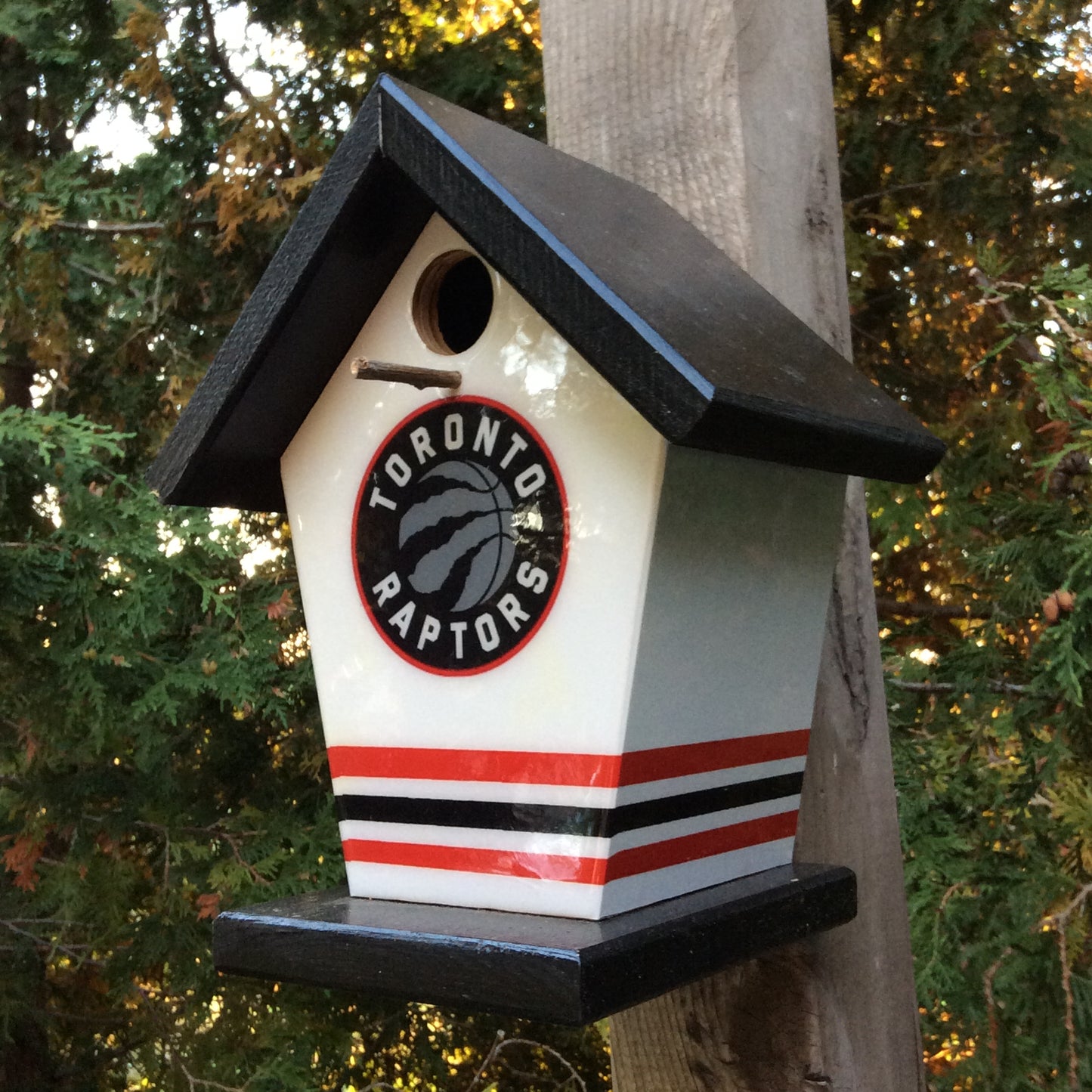 Toronto Raptors Birdhouse