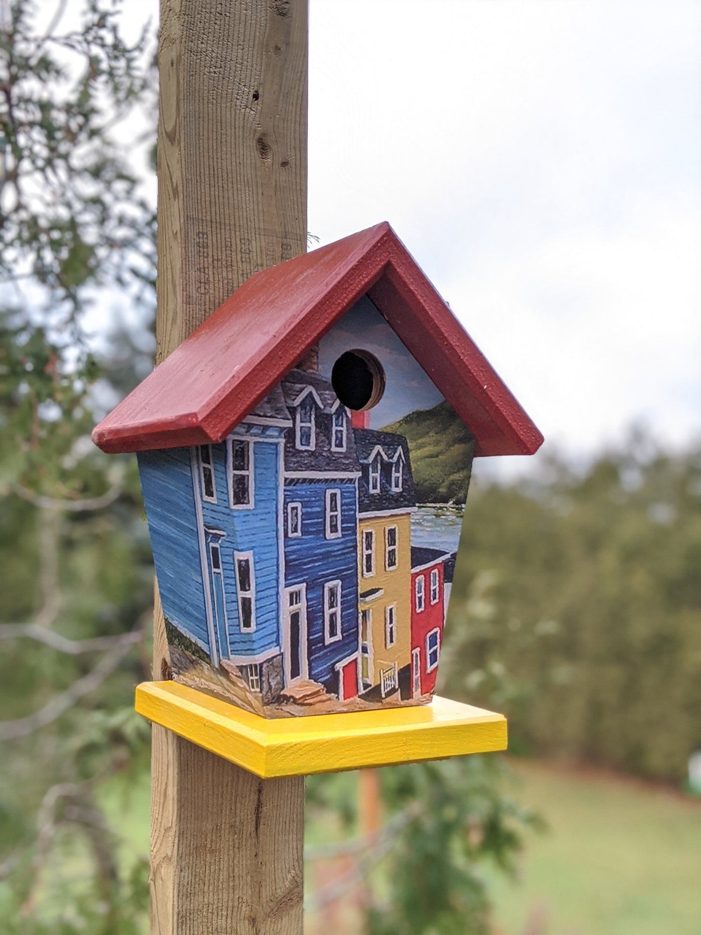 Jelly Bean Row Newfoundland Birdhouse