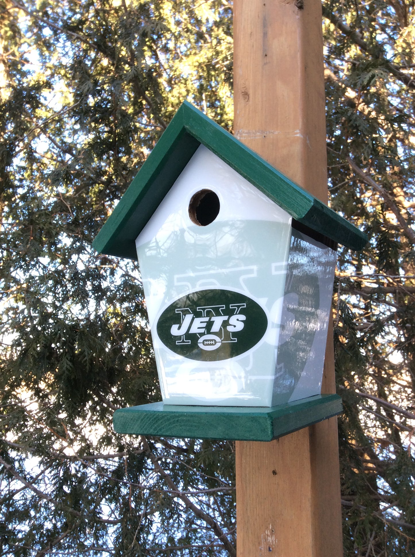 New York Jets Birdhouse