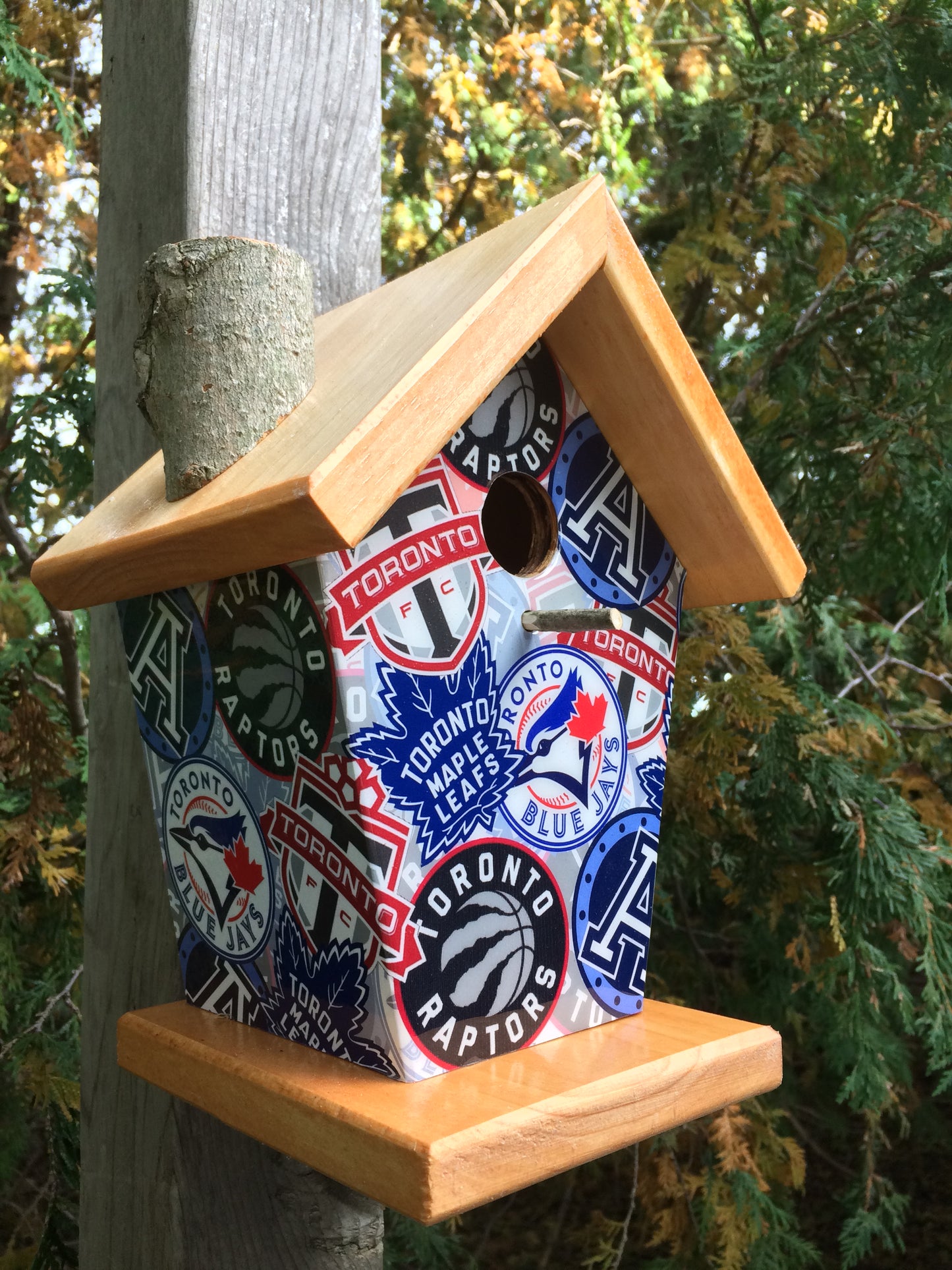 Toronto Sports Lovers Birdhouse