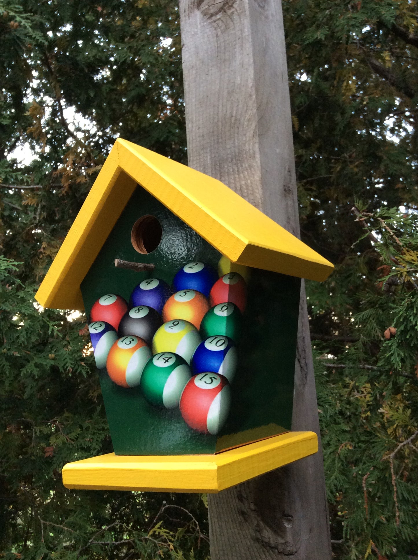 Pool Lovers Birdhouse Sports