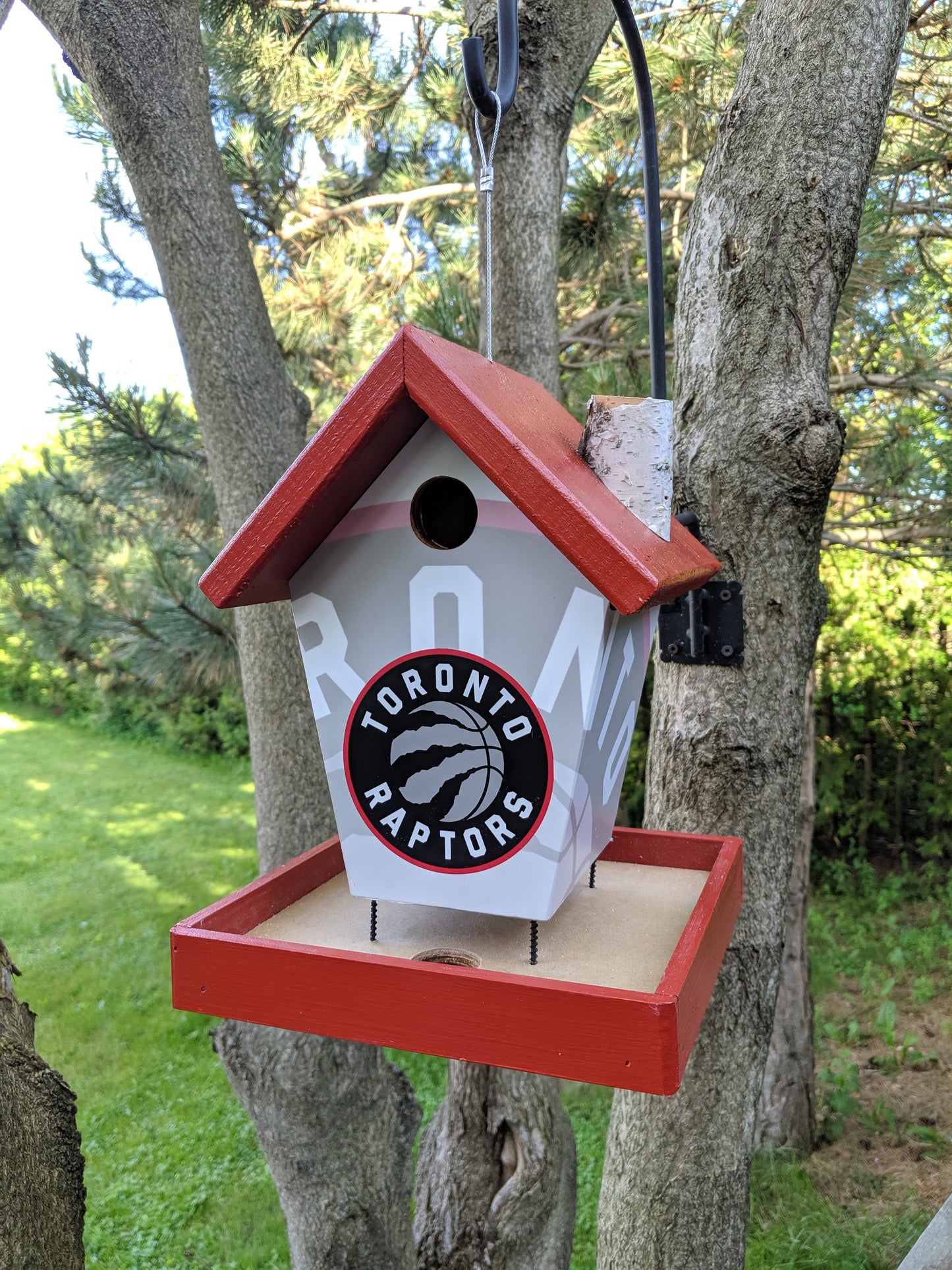 Toronto Raptors Birdfeeder