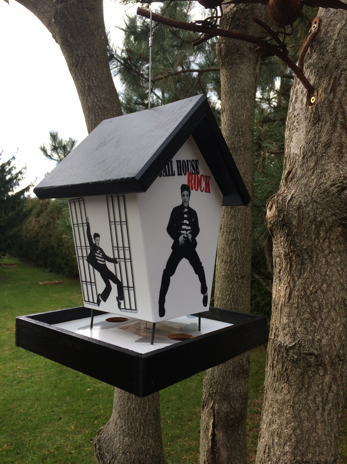 Jailhouse Rock Bird Feeder