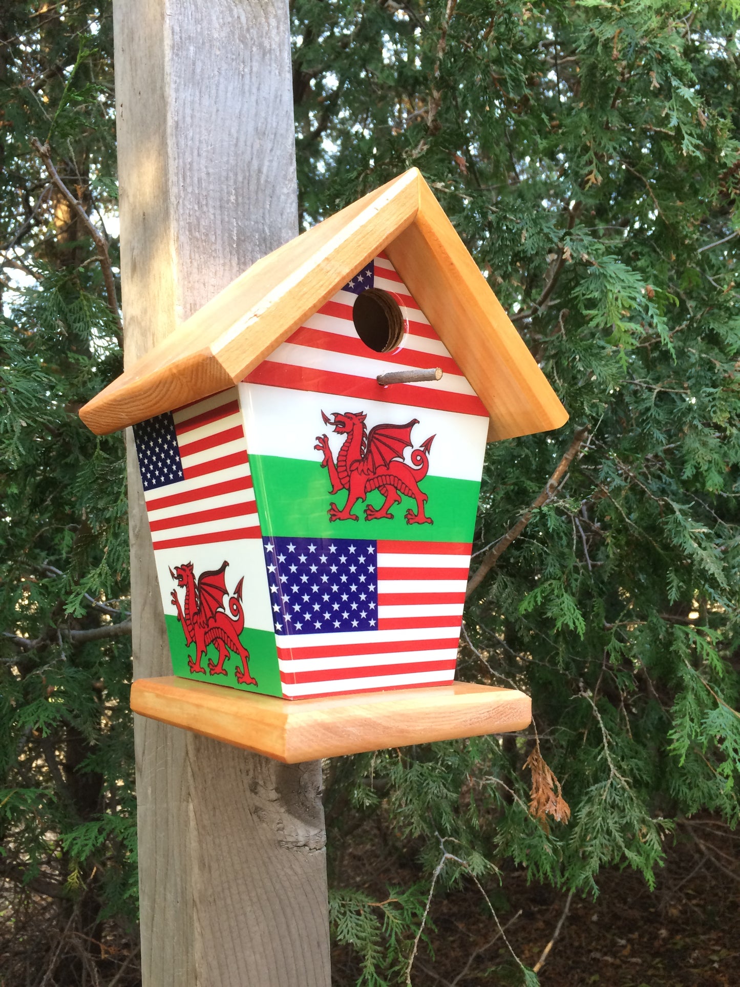 Wales and USA Birdhouse