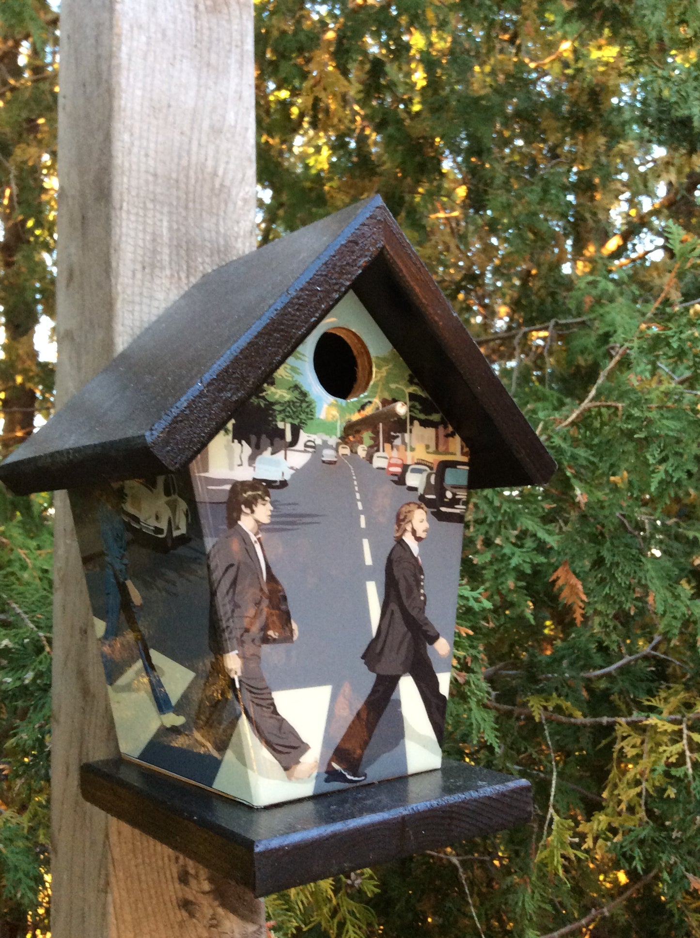 Beatles Abbey Road Music Birdhouse