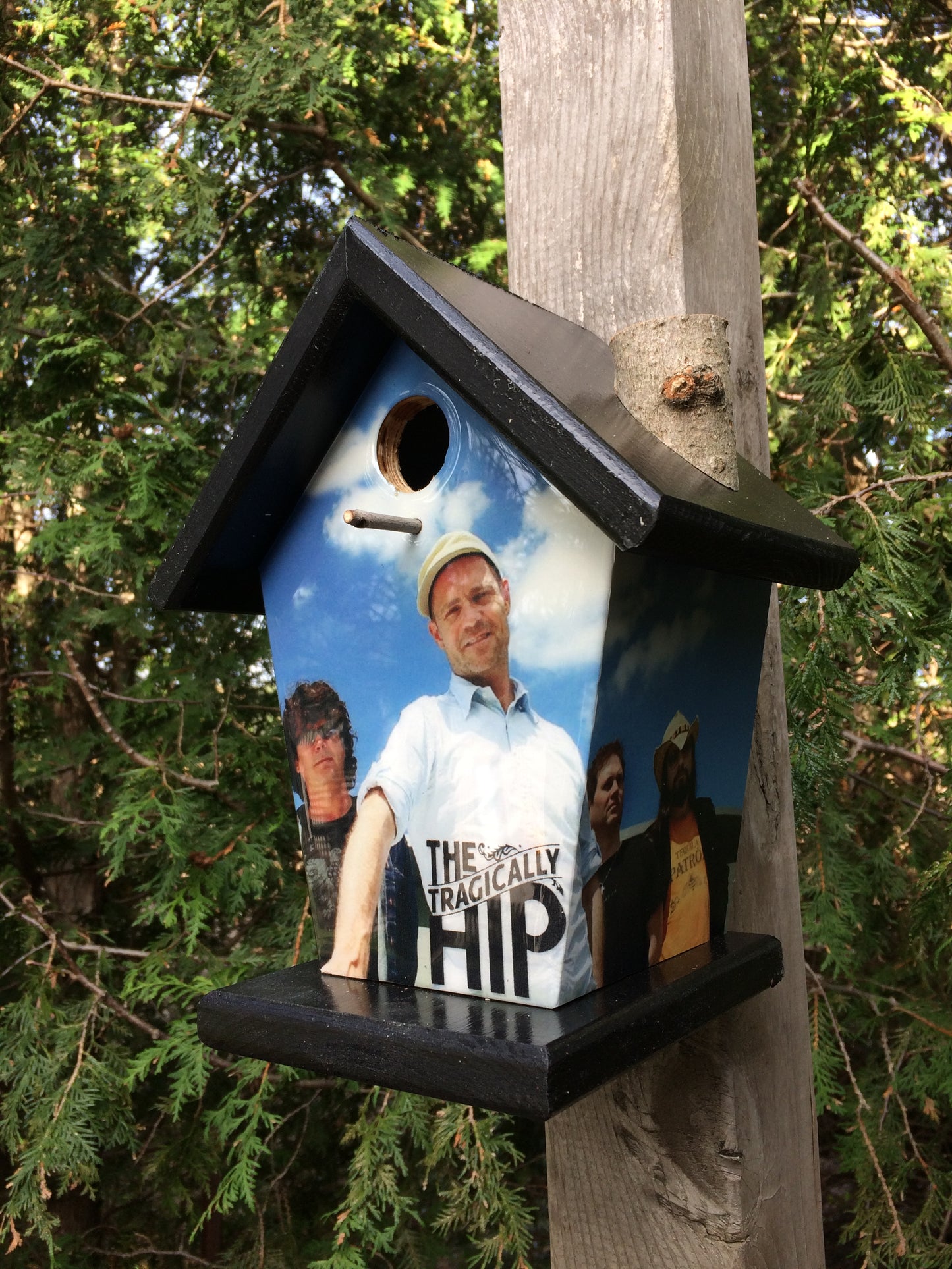 The Tragically Hip Birdhouse
