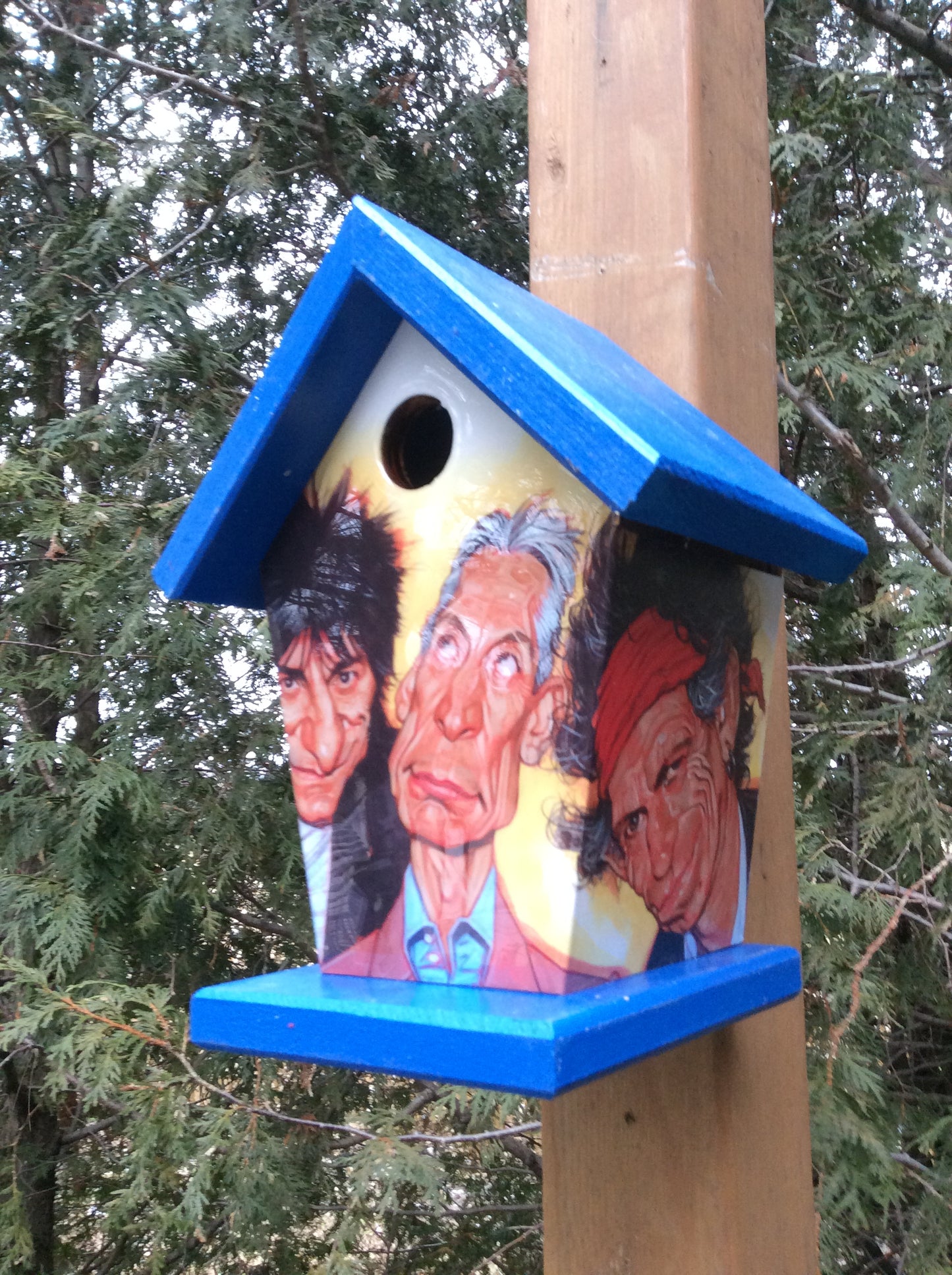 Rolling Stones Birdhouse