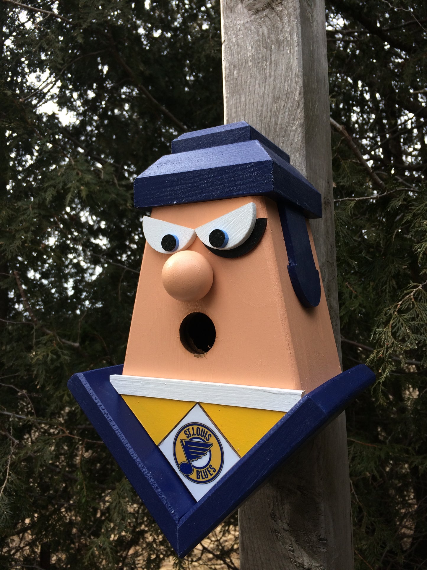 St. Louis Blues Birdhouse