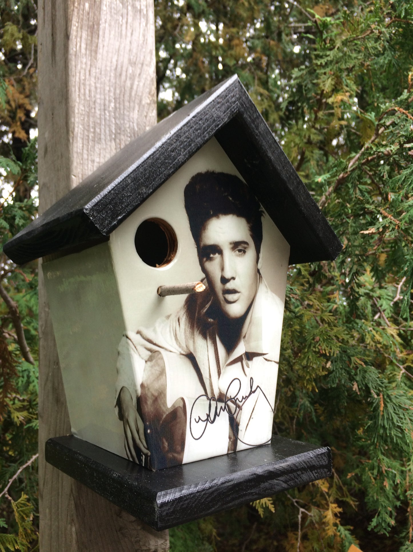 Elvis Presley (Stained Roof & Base) Birdhouse Music