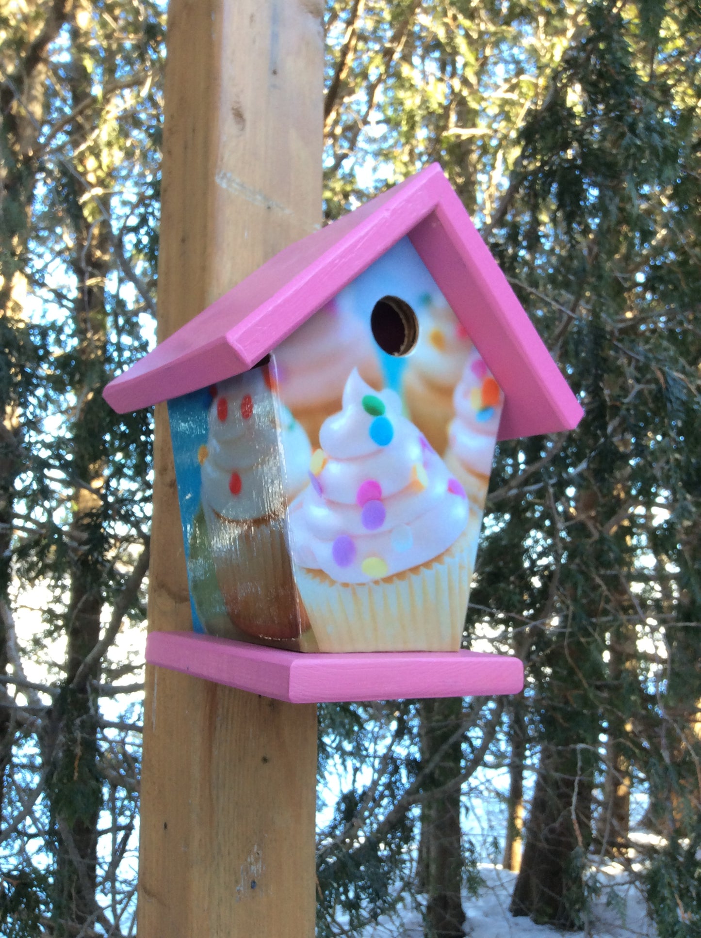 Cupcakes Lovers Birdhouse