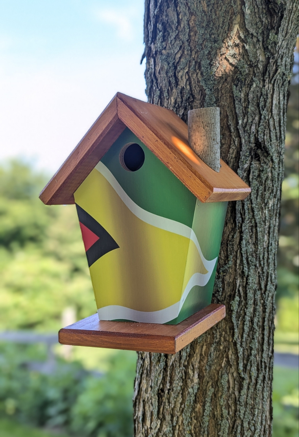 Guyana Flag Birdhouse