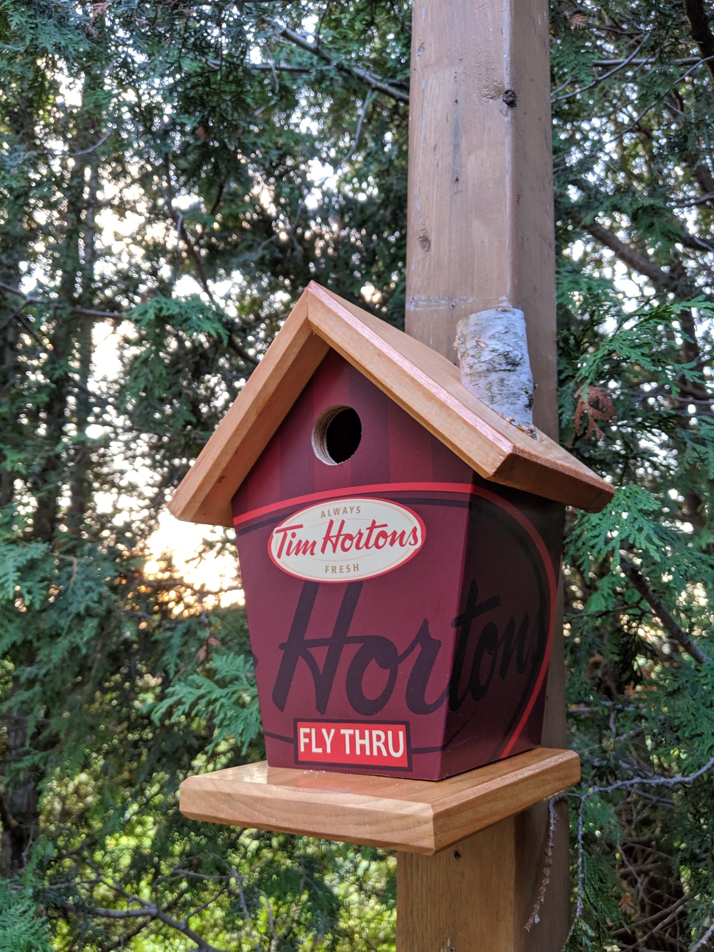 Tim Hortons Birdhouse