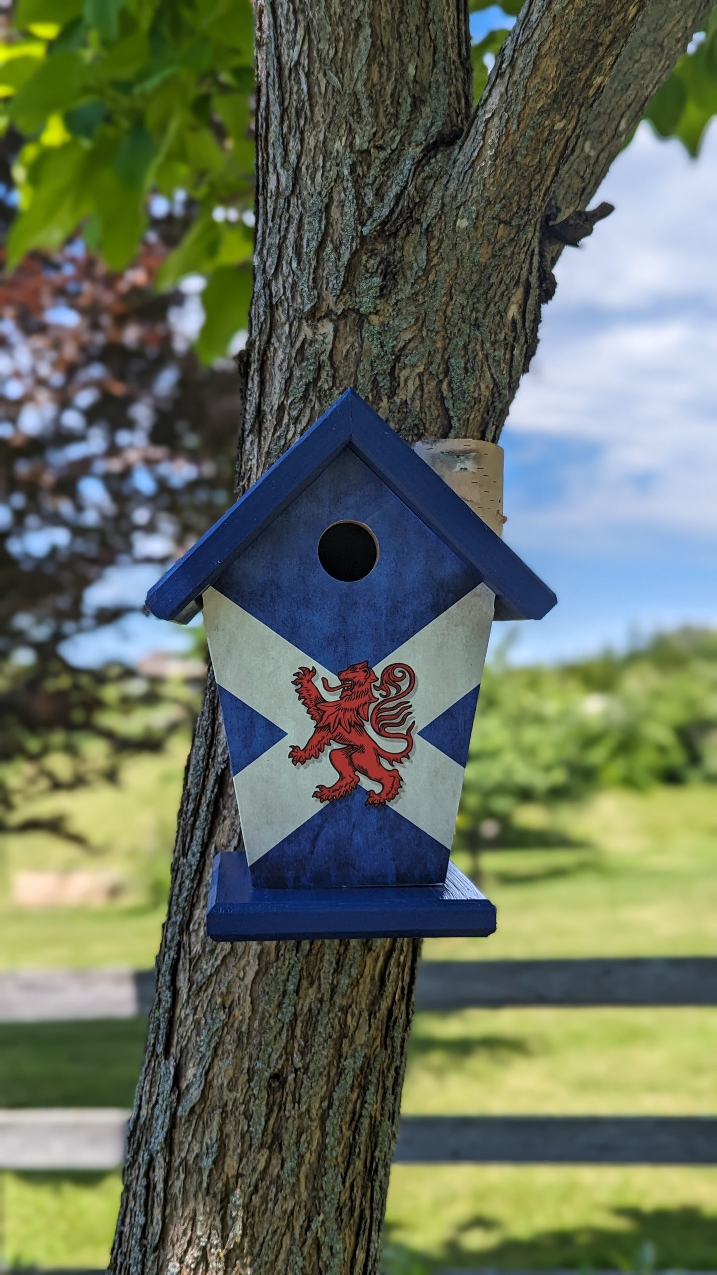 Scotland flag birdhouse