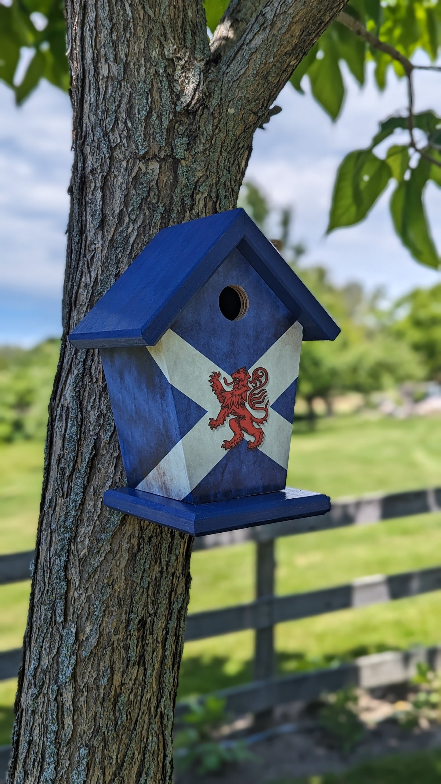 Scotland flag birdhouse