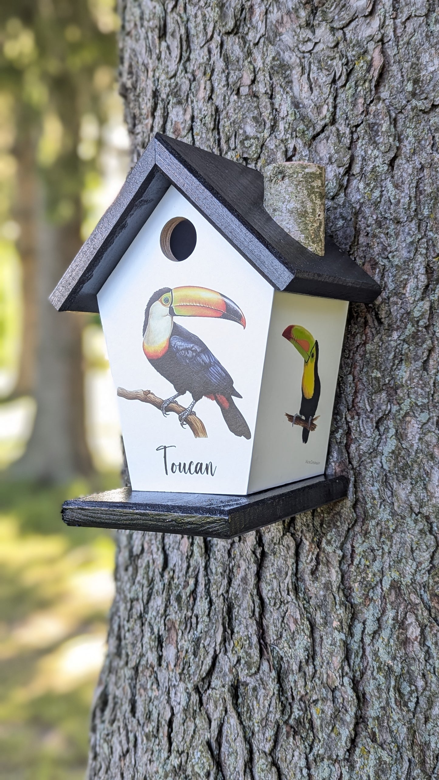 Toucan Birdhouse
