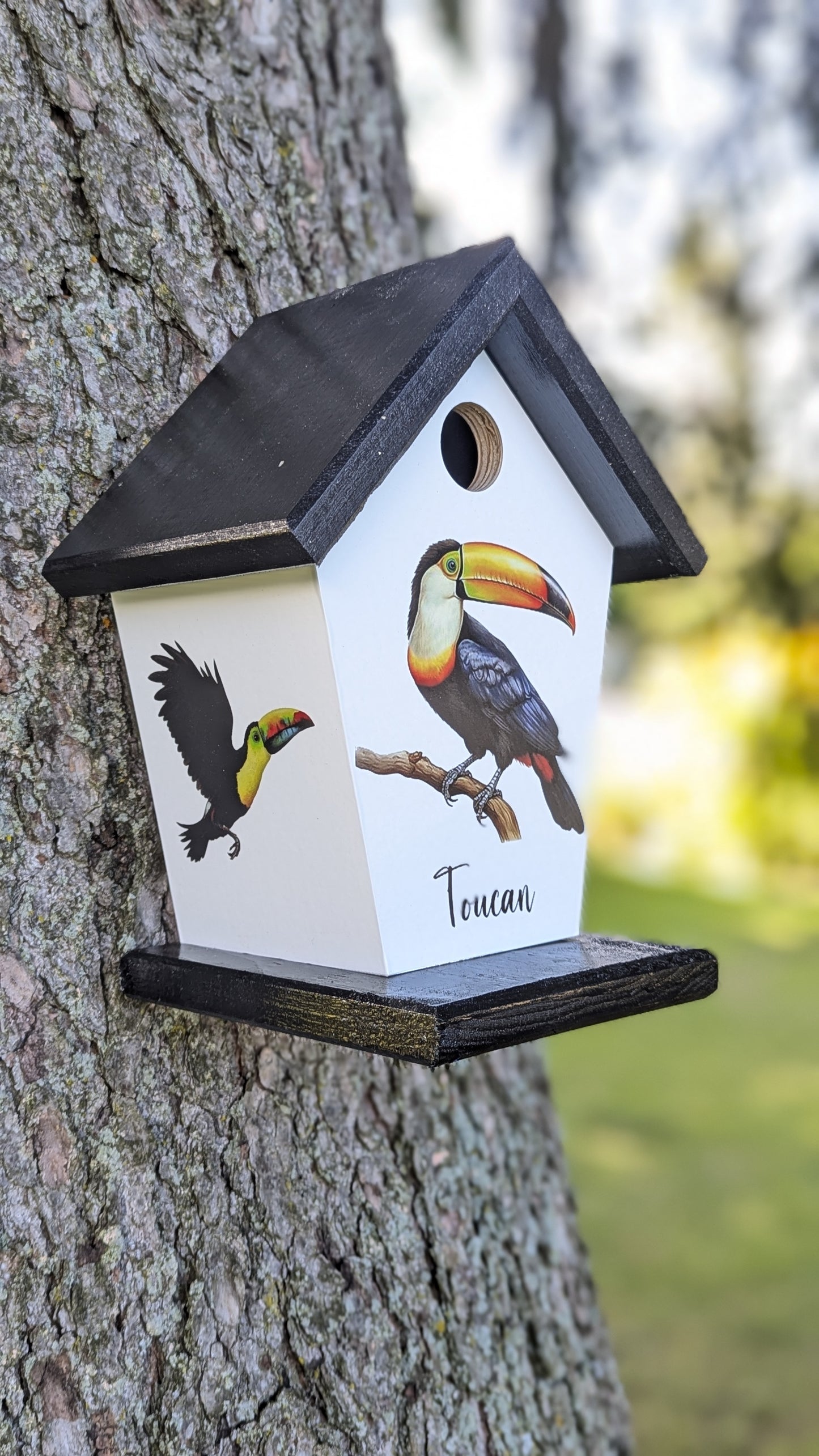 Toucan Birdhouse